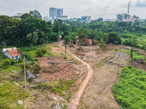 TP. Hồ Chí Minh: Hàng trăm dự án thoát “án treo” khi hơn 100 ha đất nông nghiệp được làm nhà ở thương mại