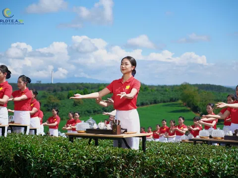 Hơn 1.100 Trà Nương đồng diễn tại lễ hội Trà quốc tế 2025