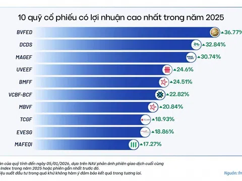 Quỹ cổ phiếu năm 2025: Tăng trưởng trong phân hóa
