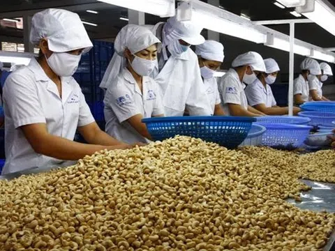 VINACAS khuyến cáo hội viên xuất khẩu sang khu vực Trung Đông, giảm kim ngạch xuất khẩu 10%