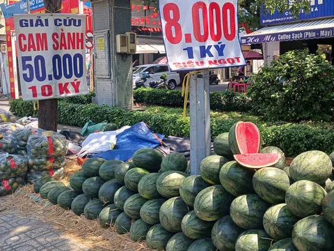 Nhiều nông sản rớt giá còn vài nghìn đồng một kg