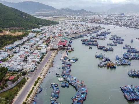 Khánh Hòa: Thủy sản trở thành ngành xuất khẩu chủ lực nhờ nuôi biển công nghệ cao