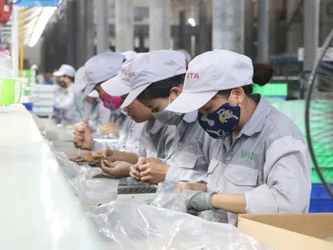 Khủng hoảng logistics lan rộng: Nông sản Việt giảm giá tới 30% để ‘giải cứu’ hàng tồn