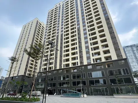 Hơn 12.000 hồ sơ 'tranh mua' 700 suất nhà xã hội Lý Thường Kiệt