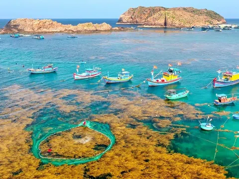 Gia Lai phát triển du lịch đa trải nghiệm: Rừng - biển đảo – cao nguyên