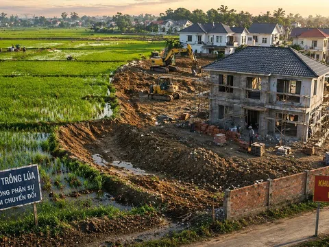 Kể từ nay, chuyển đất trồng lúa sang đất ở trái phép có thể bị phạt đến 400 triệu đồng