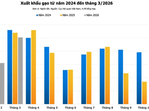 Xuất khẩu gạo tiếp tục suy giảm, 2026 tiếp tục là năm thách thức với gạo Việt?
