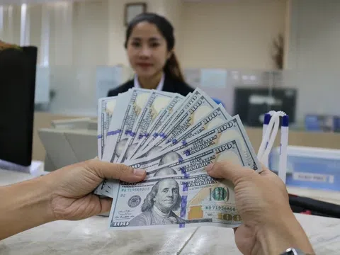 Kiều hối chuyển về TP.HCM bất ngờ đi xuống