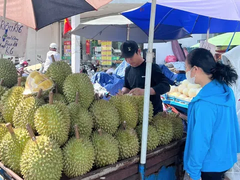Vì sao giá sầu riêng chỗ đắt đỏ, nơi lao dốc?