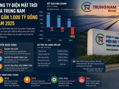 Công ty điện mặt trời của Trung Nam lỗ gần 1.000 tỷ đồng