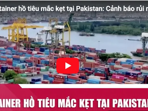 21 container hồ tiêu mắc kẹt tại Pakistan: Cảnh báo rủi ro thanh toán trong xuất khẩu