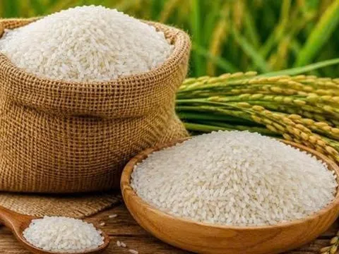 Quốc gia châu Á chính thức vượt Trung Quốc, trở thành cường quốc gạo số 1 thế giới