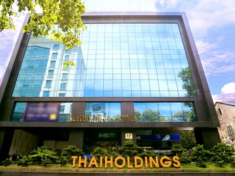 Cổ phiếu tăng sốc 370% sau vài tuần, Thaiholdings kinh doanh ra sao?