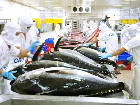 Bộ Công Thương: Mặt hàng thủy sản xuất khẩu chủ lực của Việt Nam đã bị kiến nghị điều tra tại Mỹ
