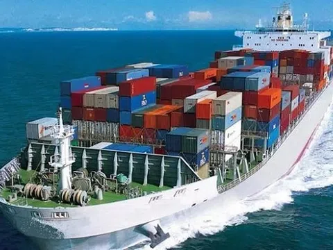 Hoạt động kinh doanh chính mang về chưa tới trăm triệu, MHC rót hơn 200 tỷ vào loạt cổ phiếu 'họ' Gelex