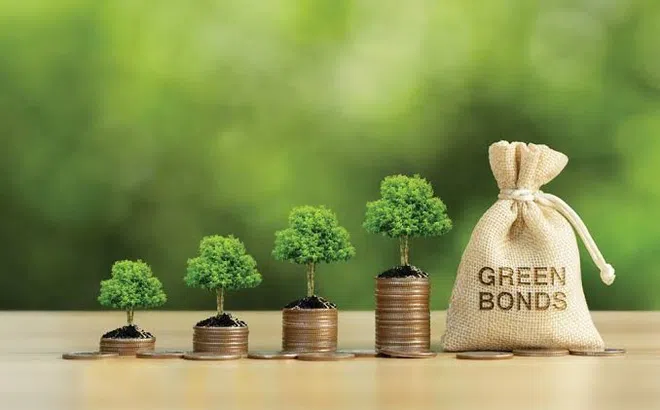 FiinRatings: Trái phiếu xanh bằng ngoại tệ đạt hơn 1 tỷ USD trong 5 năm qua
