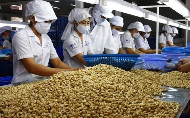 VINACAS khuyến cáo hội viên xuất khẩu sang khu vực Trung Đông, giảm kim ngạch xuất khẩu 10%