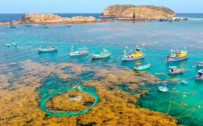 Gia Lai phát triển du lịch đa trải nghiệm: Rừng - biển đảo – cao nguyên