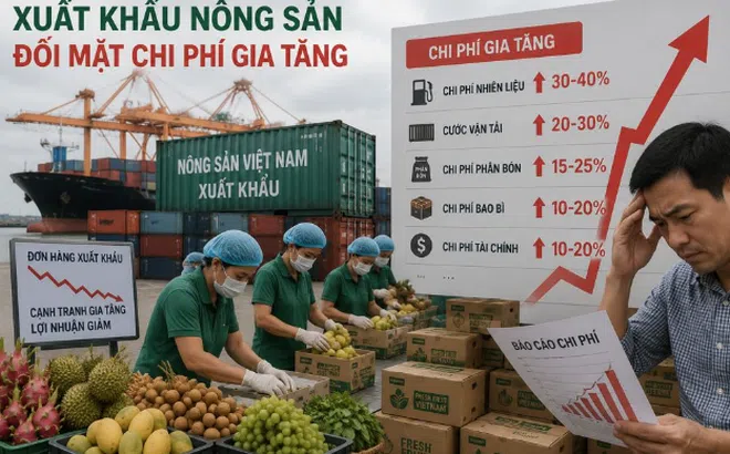 Xuất khẩu nông lâm thủy sản đối mặt chi phí gia tăng