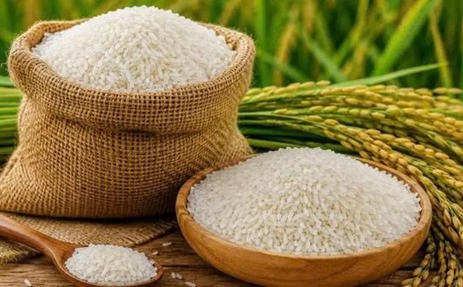 Quốc gia châu Á chính thức vượt Trung Quốc, trở thành cường quốc gạo số 1 thế giới