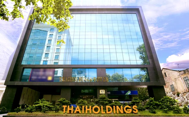 Cổ phiếu tăng sốc 370% sau vài tuần, Thaiholdings kinh doanh ra sao?