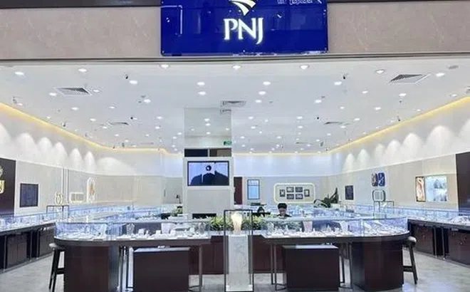PNJ cân nhắc mua lại cổ phiếu, không liên quan 28.000 viên kim cương buôn lậu