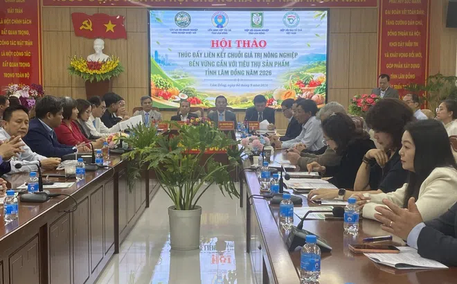Liên minh HTX Lâm Đồng: Tổ chức lại sản xuất chuỗi, xây dựng thương hiệu nông sản địa phương